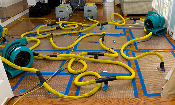 Professional Storm Water Damage Restoration technician working in Elk River, MN
